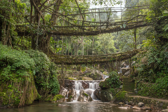 Cloudland Adventure